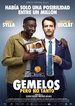 Póster de la película Gemelos pero no tanto