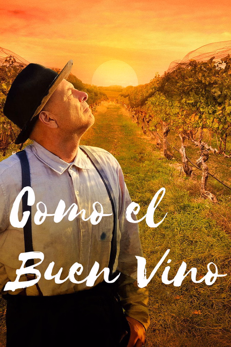 Póster de la película Como el buen vino