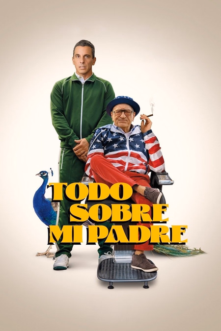 Póster de la película Todo sobre mi padre