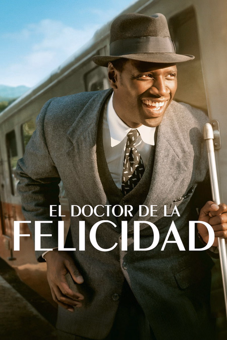 Póster de la película El doctor de la felicidad