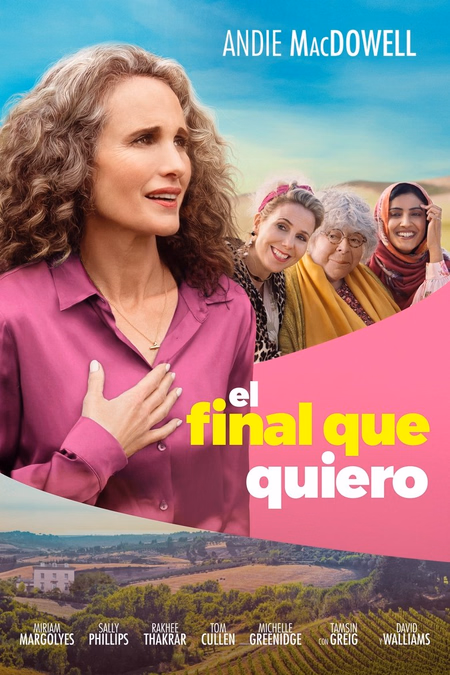 Póster de la película El final que quiero (My Happy Ending)