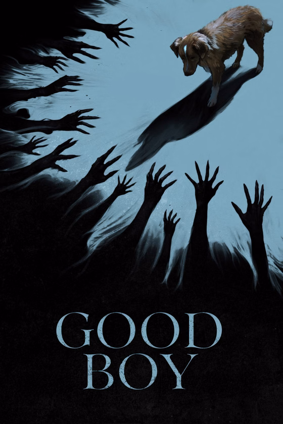 Póster de Good Boy