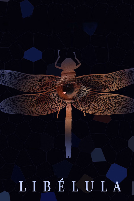 Póster de la película Libélula