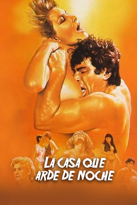 Póster de la película La casa que arde de noche