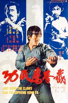 Póster de la película Furia oriental III