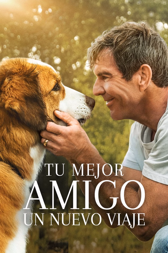 Póster de Tu mejor amigo: Un nuevo viaje