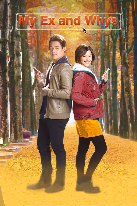 Póster de la película La bloguera y su ex