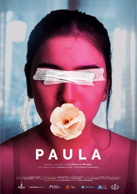 Póster de la película Paula