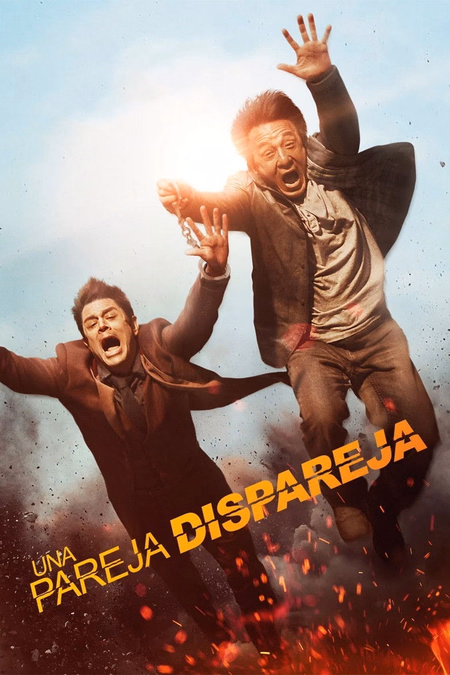 Póster de la película Atrapa a un ladrón