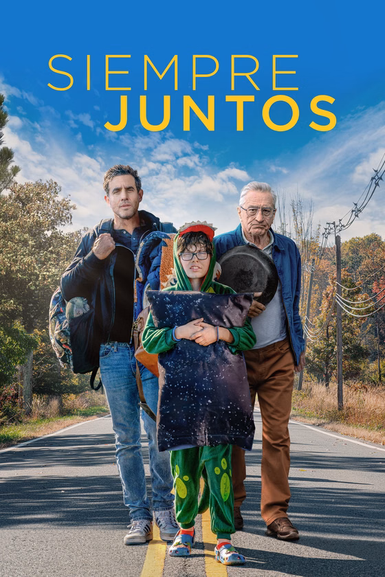 Póster de Una función inesperada