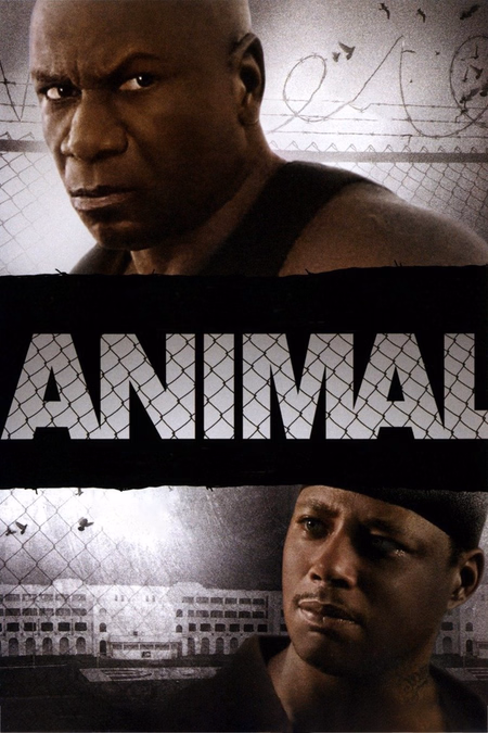 Póster de la película Animal