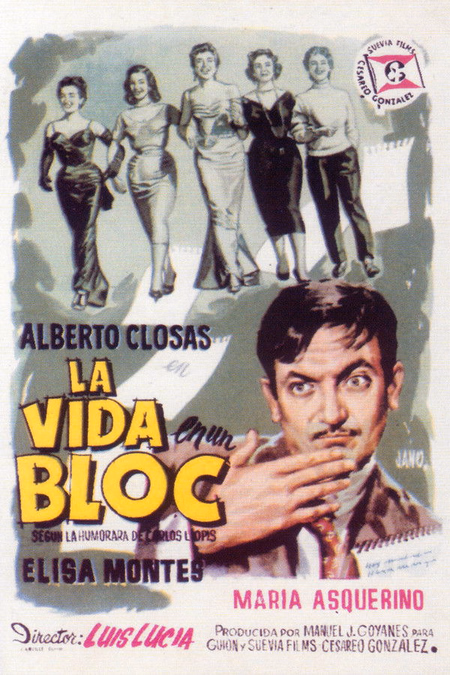 Póster de la película La vida en un bloc