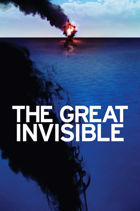 Póster de la película The Great Invisible