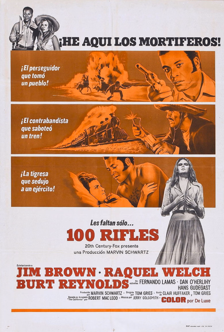 Póster de la película 100 Rifles