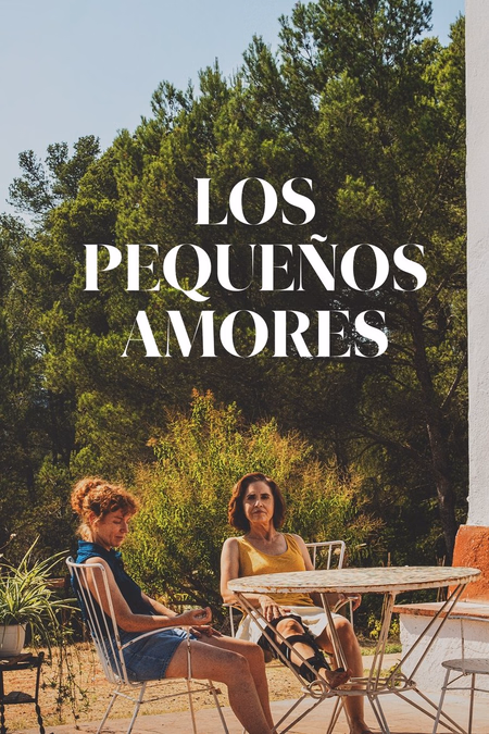 Póster de la película Los pequeños amores