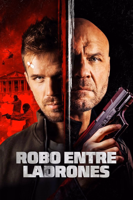 Póster de la película Blowback