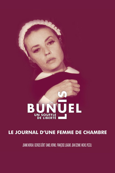 Póster de la película Diario de una camarera